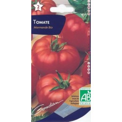 Tomate Marmande BIO