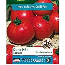 Tomate DONA HF1